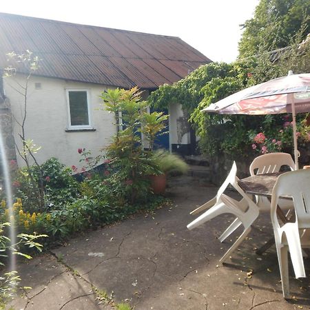 The Royal Oak Inn Dunsford Bagian luar foto