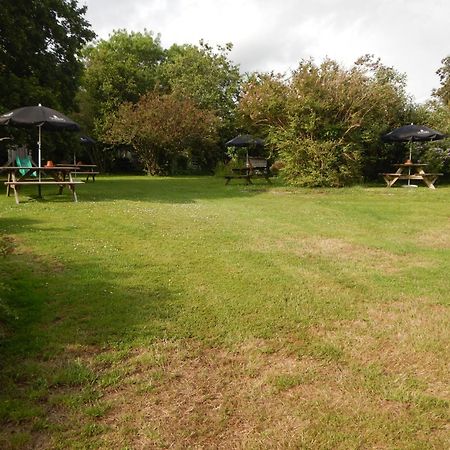 The Royal Oak Inn Dunsford Bagian luar foto