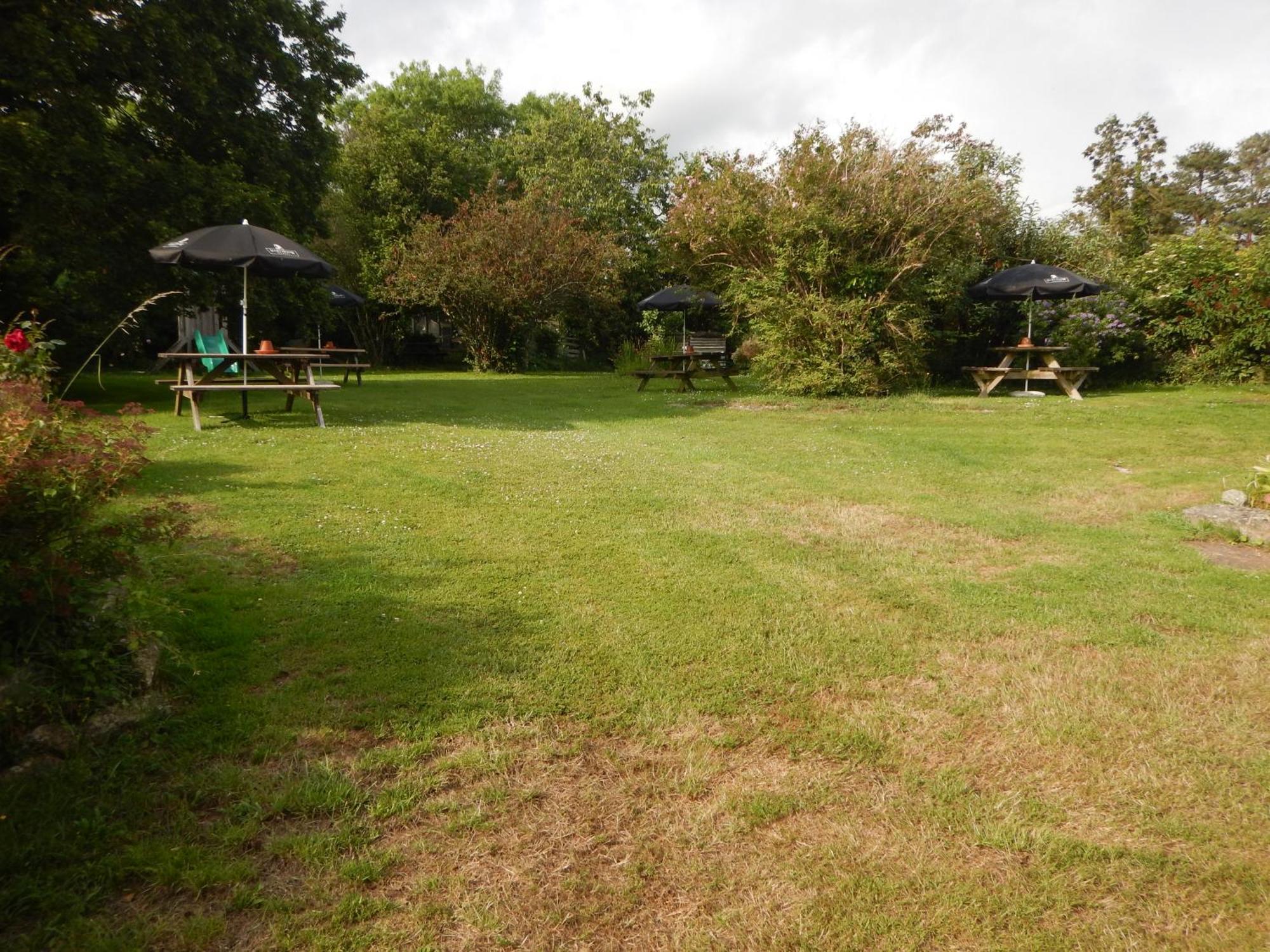 The Royal Oak Inn Dunsford Bagian luar foto